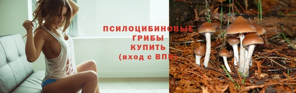 МДПВ Остров