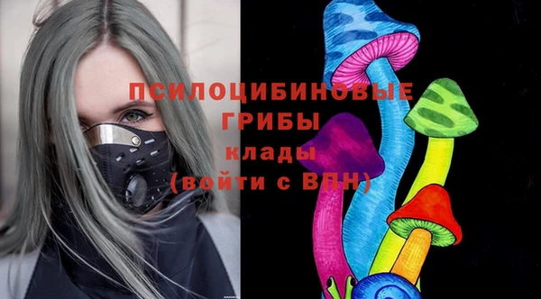 МДПВ Остров