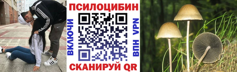 shop телеграм где продают наркотики Тюкалинск Галлюциногенные грибы мицелий